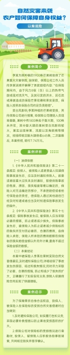 自然災害來襲，農戶如何保障自身權益？